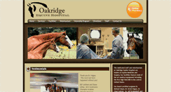 Desktop Screenshot of oakridgevet.com